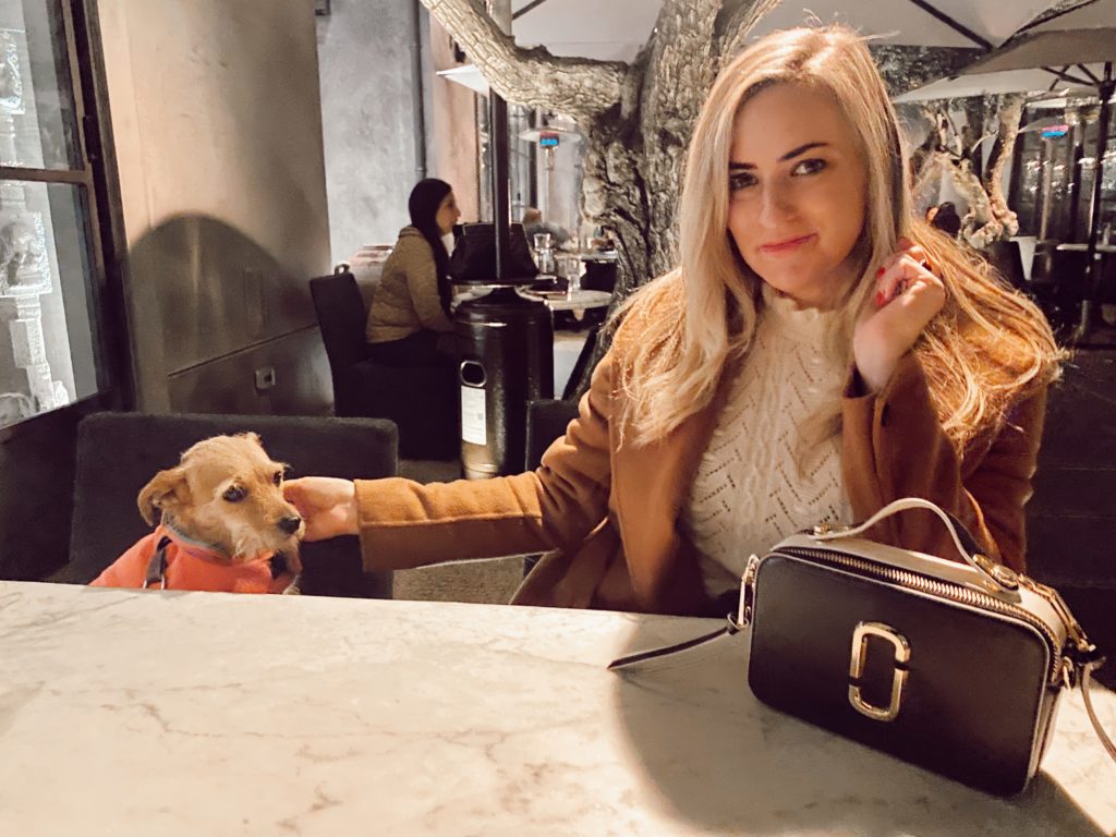 dog friendly restaurants