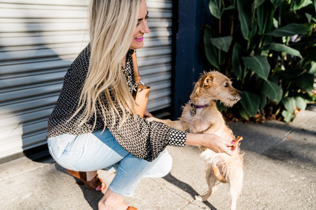 Mom and Dog photos