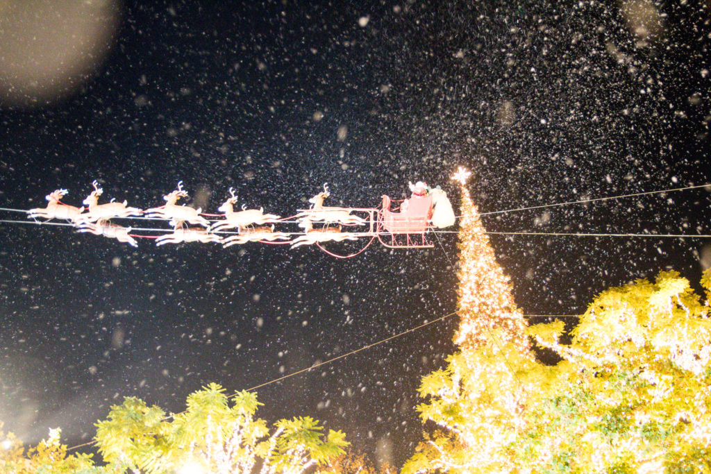 snow at the grove
