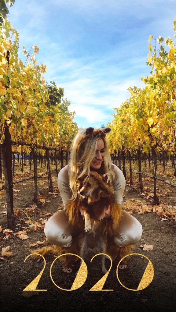 Dog Halloween Costumes