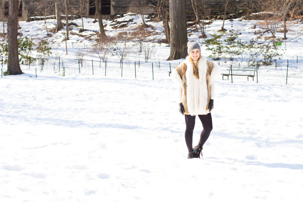 Snowy Central Park
