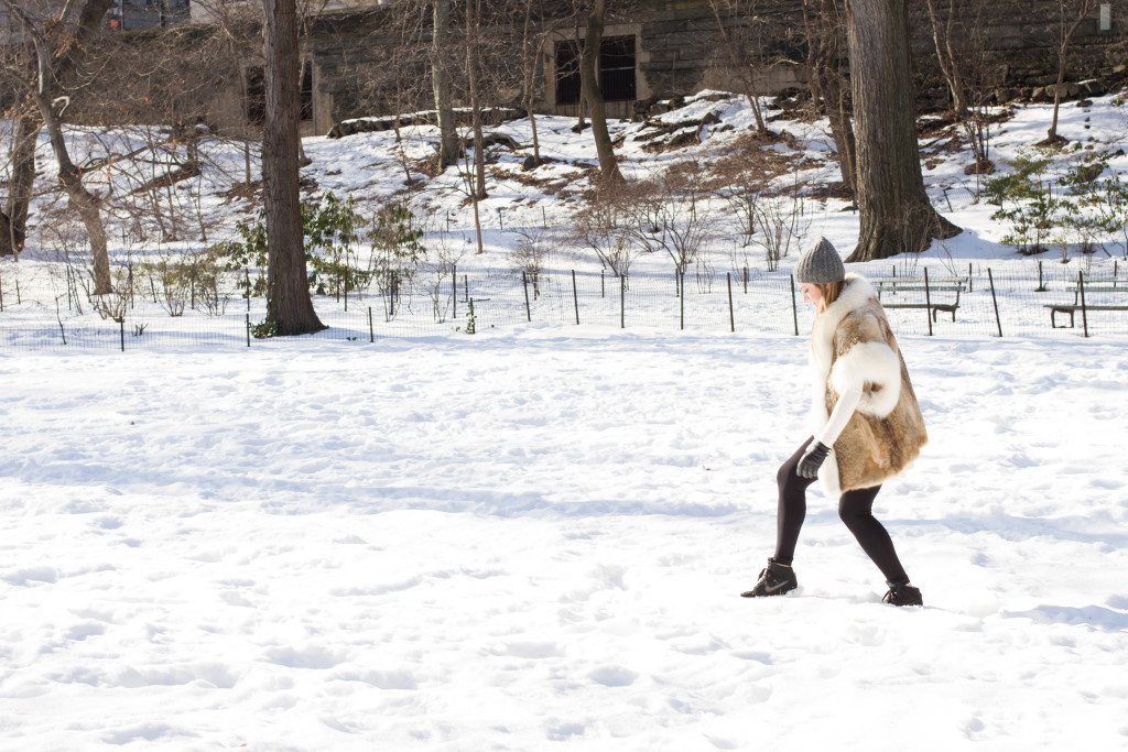Snowy Central Park