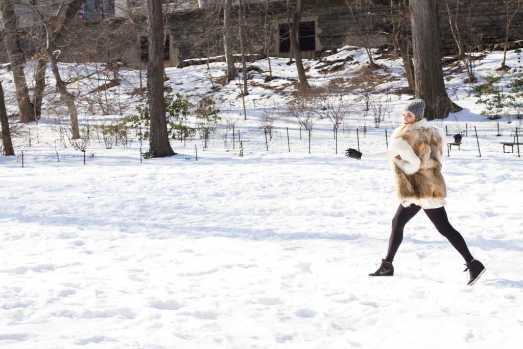 Snowy Central Park