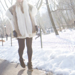 Snowy Central Park