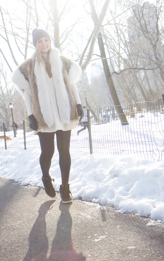 Snowy Central Park
