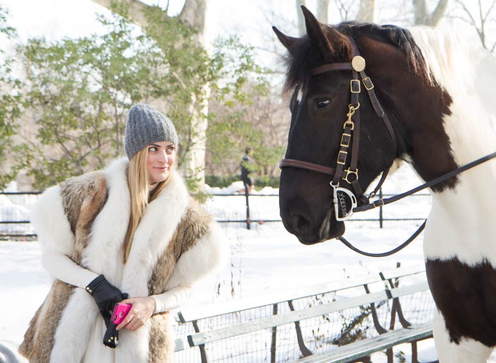 Snowy Central Park