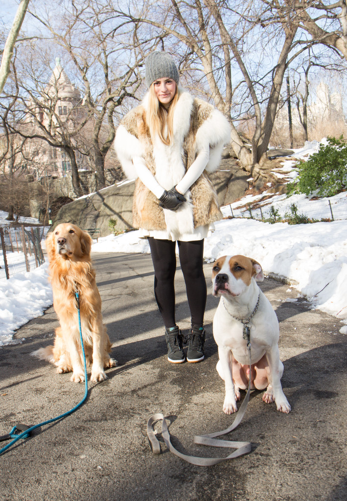 Snowy Central Park